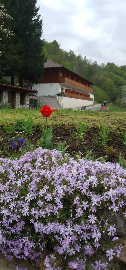 B&B Zlatna Nit Bosanska Krupa Extérieur photo